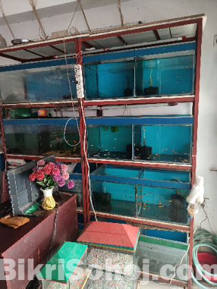 Aquarium satap